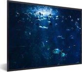 Tableau encadré - Morue dans un aquarium en Norvège cadre photo noir 80x60 cm - Affiche encadrée (Décoration murale salon / chambre)