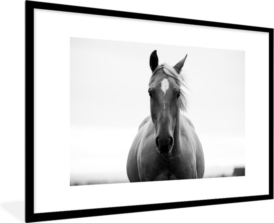 Photo en cadre - La tête de cheval en cadre photo noir et blanc noir avec passe-partout blanc xxl 120x80 cm - Affiche sous cadre (Décoration murale salon / chambre)