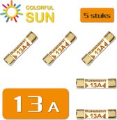 Colorful Sun® Fusibles à tube céramique - 2 pcs - 13A 250V - 25 x 6.3mm fusibles à cartouche - Fusible pour prise domestique - Fusible pour prise mondiale - Fusible