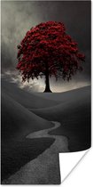 Poster Een zwart-wit foto met een grote rode boom - 60x120 cm