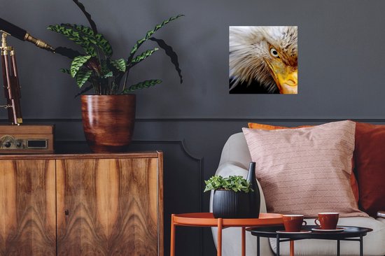 Affiche Vogel - Œil - Bec - 30x30 cm