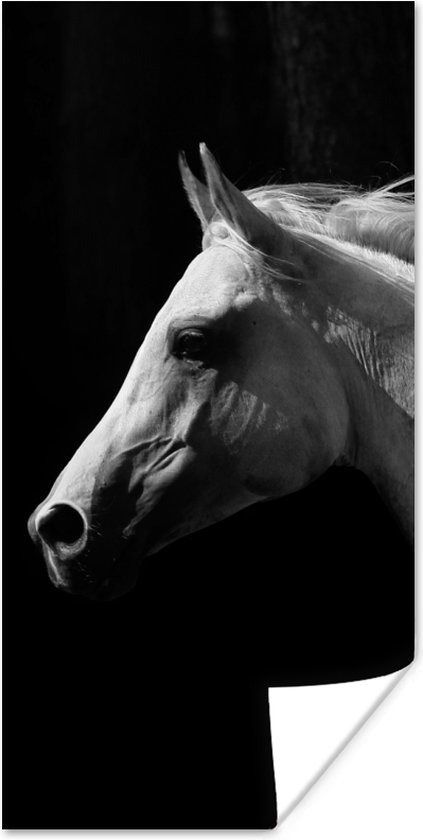 Poster Paarden - Dieren - Portret - 60x120 cm
