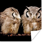 Poster Uil - Vogel - Zwart - 75x75 cm
