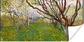 Poster Bloeiende boomgaard - Vincent van Gogh - 120x60 cm