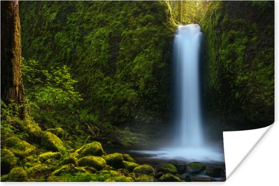 Poster Jungle - Waterval - Natuur - 30x20 cm