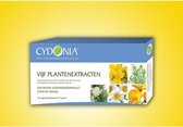 Cydonia - Vijf Plantenextracten - droge vagina - overgang - intieme ongemakken - vaginale zetpillen