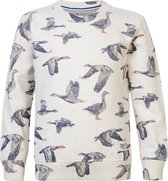 Noppies Boys Sweater Deltona long sleeve all over print Jongens Trui - Oatmeal - Maat 116