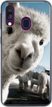 Geschikt voor Samsung Galaxy A40 hoesje - Alpaca - Wit - Dier - Siliconen Telefoonhoesje