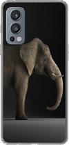 Telefoonhoesje Geschikt voor OnePlus Nord 2 5G hoesje - Olifant - Dieren - Licht - Siliconen Telefoonhoesje