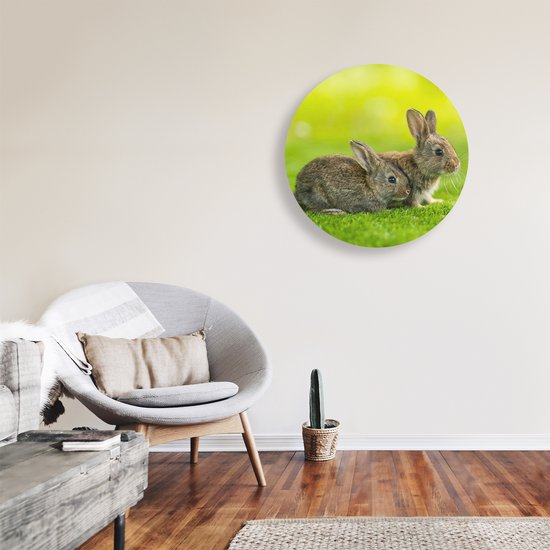 Artaza Forex Cercle mural Deux Lapins sur l'herbe verte - 70x70 cm - Cercle mural - Peinture ronde - Cercle de Décoration murale - Décoration murale