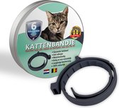 Vlooienband - katten - Zwart - 100% natuurlijk - Zonder giftige pesticiden - Veilig voor mens en dier - Milieuvriendelijk - Kattenbandje - Geur halsband