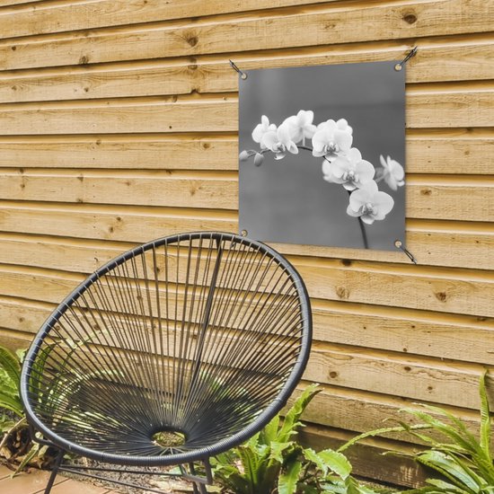 Posters de jardin Orchidée - Fleurs - Plante - Wit - Violet - 50x50 cm - Toile jardin - Affiche extérieure