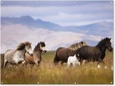 Muurdecoratie buiten Paarden - Gras - Bergen - 160x120 cm - Tuindoek - Buitenposter