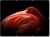 Muurdecoratie buiten Flamingo - Veren - Roze - 160x120 cm - Tuindoek - Buitenposter