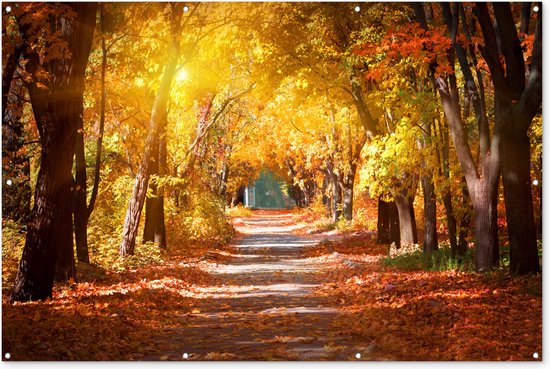 Muurdecoratie Een bospad in de herfst - 180x120 cm - Tuinposter - Tuindoek - Buitenposter