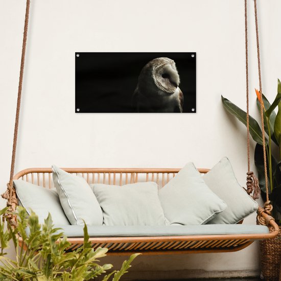 Affiche de jardin Hibou - Vogel - Portrait - 80x40 cm - Décoration murale Extérieur - Affiche de jardin - Toile de jardin - Affiche de clôture - Peinture de jardin