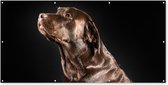 Schuttingposter Hond - Bruin - Portret - 200x100 cm - Tuindoek