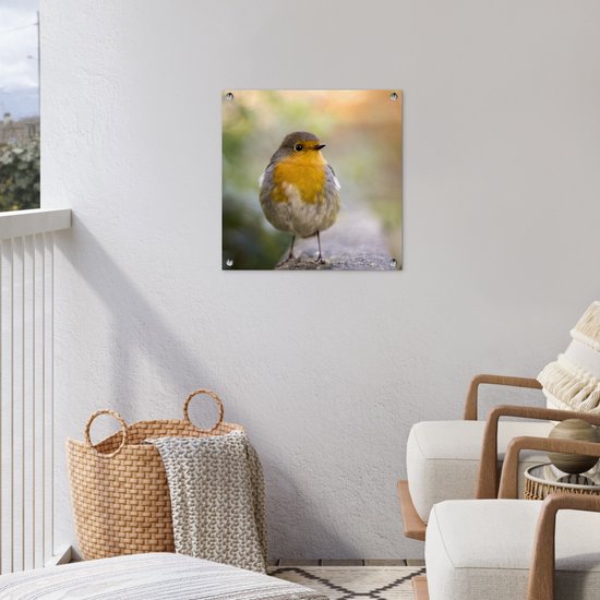 Tuinposter vogels - Roodborstje - Portret - Natuur - Tak - Tuindecoratie - Schuttingdoek - Schutting decoratie - Tuin - Tuinschilderij voor buiten - 50x50 cm - Tuindoek - Tuinposters buiten
