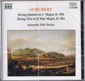String Quintet, String Trio - Franz Schubert - Ensemble Villa Musica