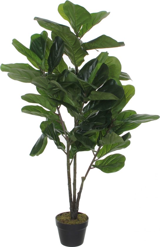 Kunstplant Ficus Lyrata H120cm - HTT Decorations