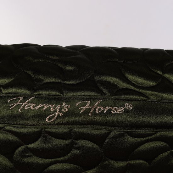 Chaleco protector de HARRY'S HORSE