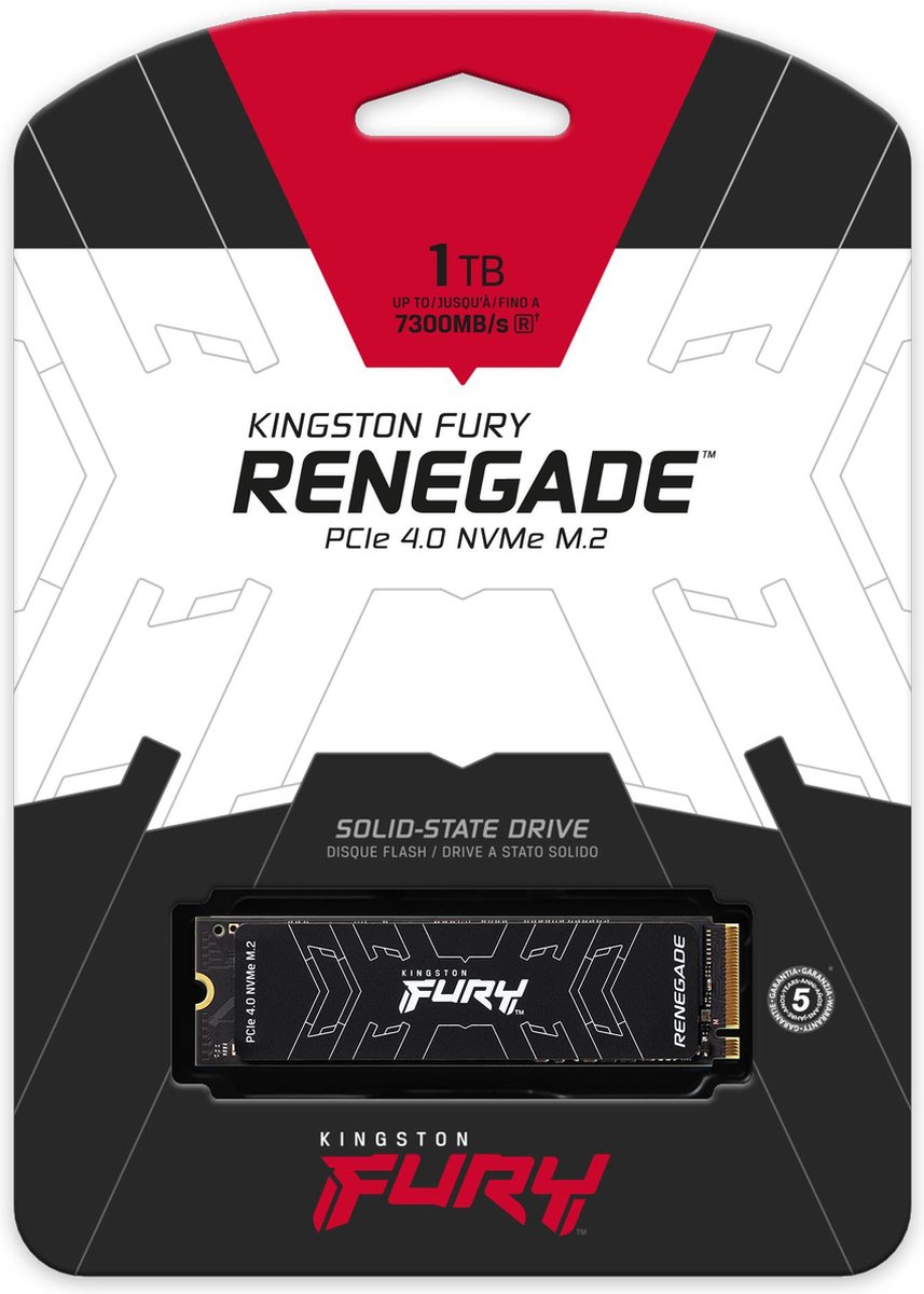 Kingston FURY Renegade 1 TB - Solid state drive