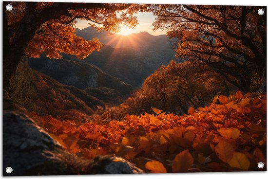 Tuinposter – Bergen - Zon - Bomen - Bos - Herfst - 90x60 cm Foto op Tuinposter (wanddecoratie voor buiten en binnen)