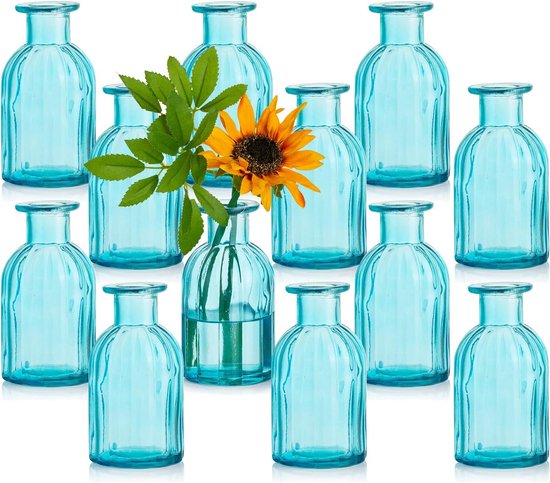 Kleine vaas set glazen vaas, 12 stuks mini-bloemenvaas, blauw, vintage vaas, glas, rond, glazen vazen, flessenvaas, kleurrijk, klein, geribbeld, tafelvaas, vaas set, glazen fles, decoratie voor bruiloft, tafeldecoratie.