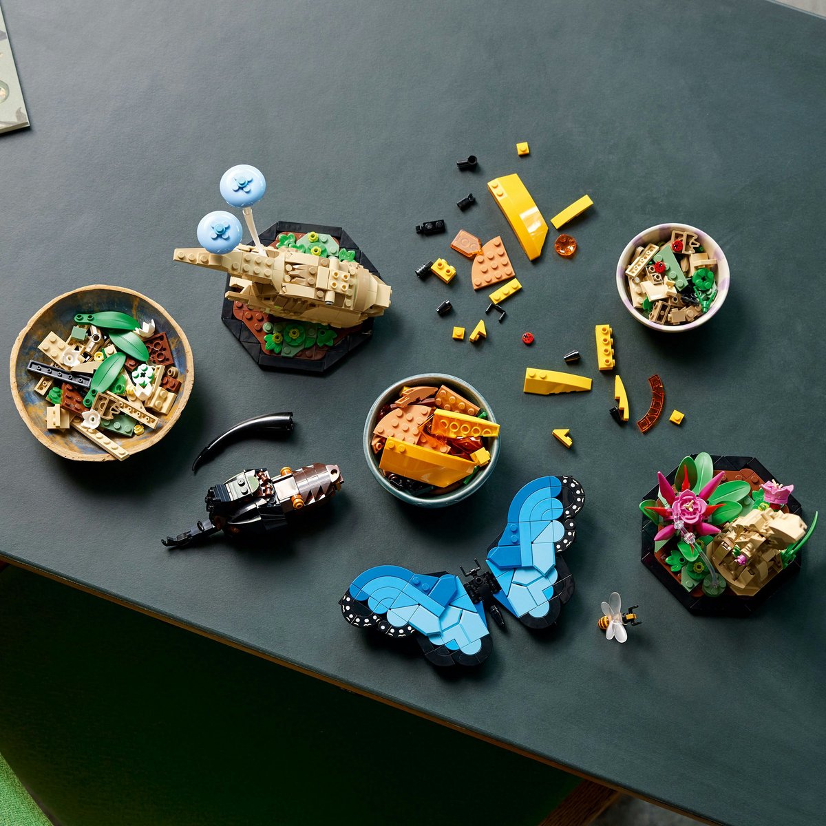 LEGO Ideas De Insectencollectie - 21342 – foto 7