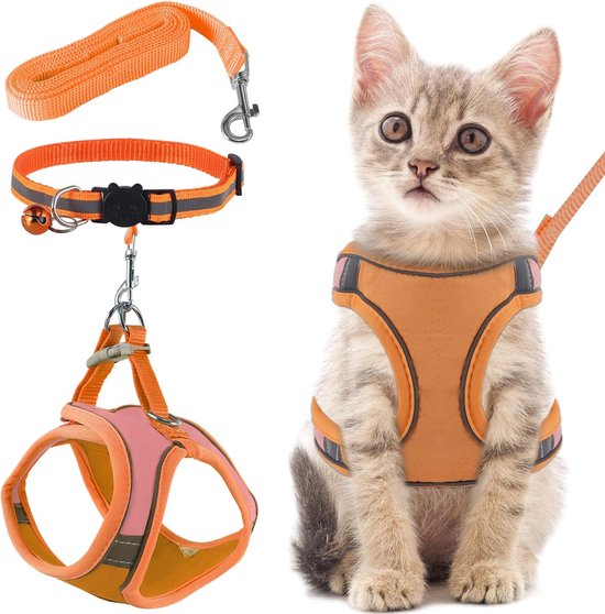 Kattenharnas met Looplijn - Anti-ontsnapping Verstelbaar Kattenharnas met Reflecterende Strepen - Oranje - Maat L