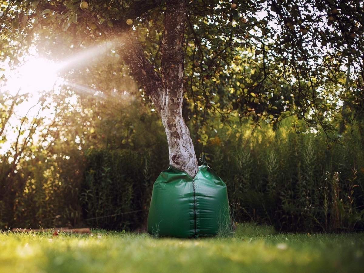 Wovar Waterzak voor boom | Gelijkmatige bewatering voor bomen | 650 gram | Per Stuk - Wovar