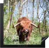 KitchenYeah® Inductie beschermer 78x78 cm - Schotse Hooglander - Bos - Schotse Koe - Kookplaataccessoires - Afdekplaat voor kookplaat - Inductiebeschermer - Inductiemat - Inductieplaat mat