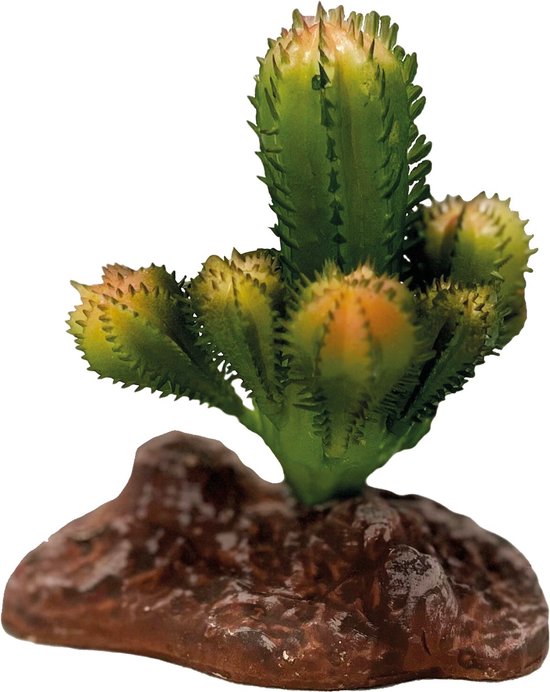 Foto: Repto plant cactus kunstcactus terrarium