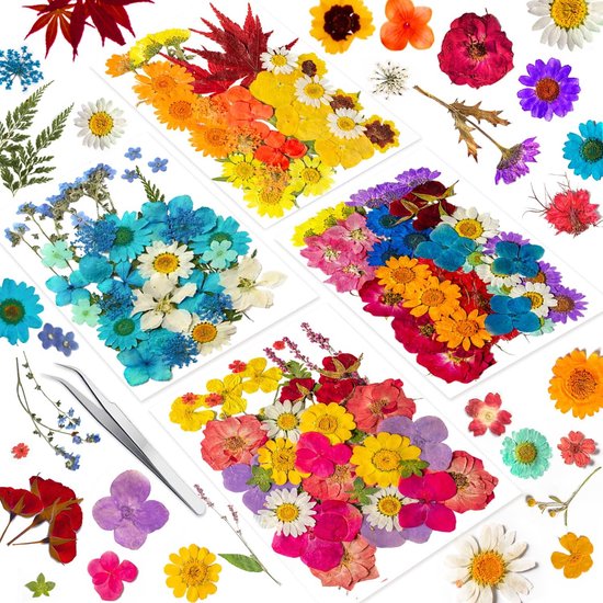 191PCS echte gedroogde geperste bloemen voor harsvormen, droge persbloemenset voor het maken van doe-het-zelf-sieraden, spijkerkaarten, plakboekambachten en decoraties