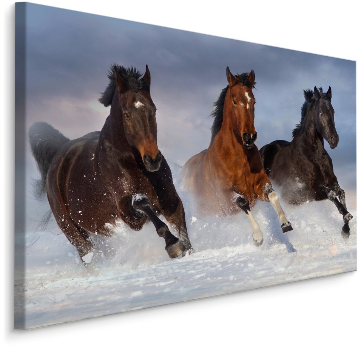 karo-art Schilderij - Galopperende paarden in de sneeuw, premium print, wanddecoratie Multikleur