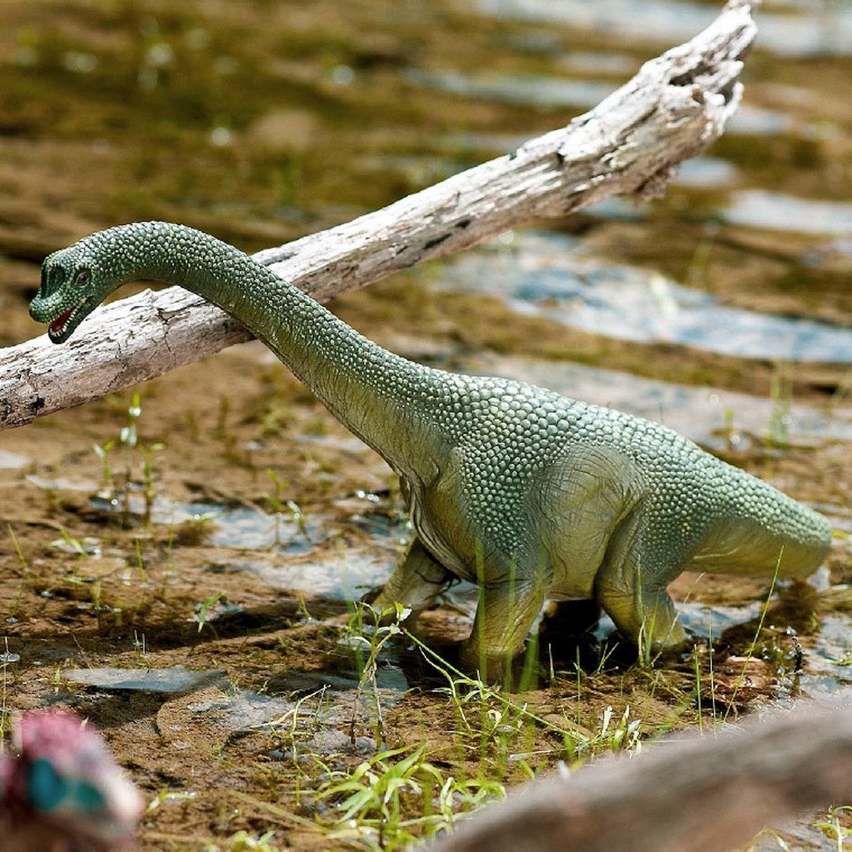 schleich DINOSAURUS Speelfiguur - Brachiosaurus - Dino Speelgoed - Kinderspeelgoed voor Jongens en Meisjes - vanaf 4 jaar - 14581 — afbeelding 9