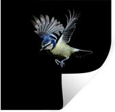 Muurstickers - Sticker Folie - Vogels - Veren - Zwart - 120x120 cm - Plakfolie - Muurstickers Kinderkamer - Zelfklevend Behang XXL - Zelfklevend behangpapier - Stickerfolie