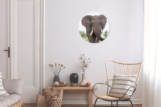 Wall Circle - Wall Circle Indoor - Oncoming Elephant - 30x30 cm - Décoration murale - Peintures Ronds