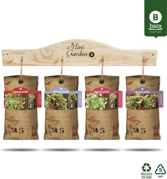 Quatre sacs suspendus pour fraises, chacun avec une étiquette 'Hanging Garden' de couleur différente, suspendus à un support en bois.