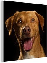 Wanddecoratie Metaal - Aluminium Schilderij Industrieel - Hond - Huisdieren - Portret - 90x90 cm - Dibond - Foto op aluminium - Industriële muurdecoratie - Voor de woonkamer/slaapkamer