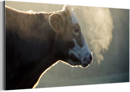 Décoration murale Métal - Peinture Aluminium Industriel - Vache - Brouillard - Soleil - 120x60 cm - Dibond - Photo sur aluminium - Décoration murale industrielle - Pour le salon/chambre