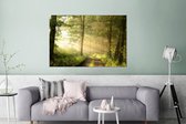 Décoration murale Métal - Aluminium Peinture Industrielle - Forêt - Soleil - Arbres - 120x80 cm - Dibond - Photo sur aluminium - Décoration murale industrielle - Pour le salon / chambre