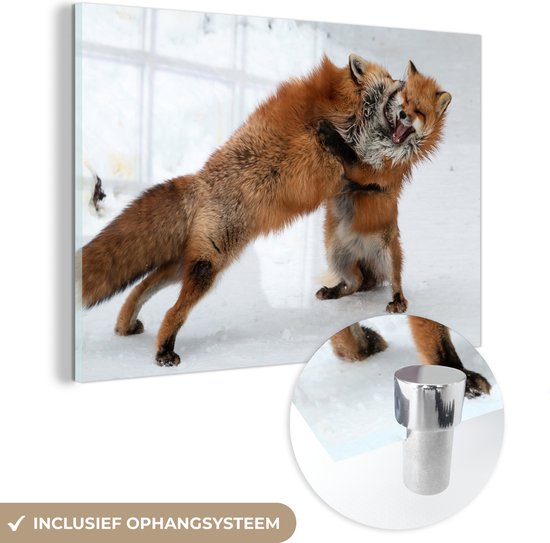 MuchoWow® Glasschilderij 180x120 cm - Schilderij acrylglas - Vechtende rode vossen - Foto op glas - Schilderijen