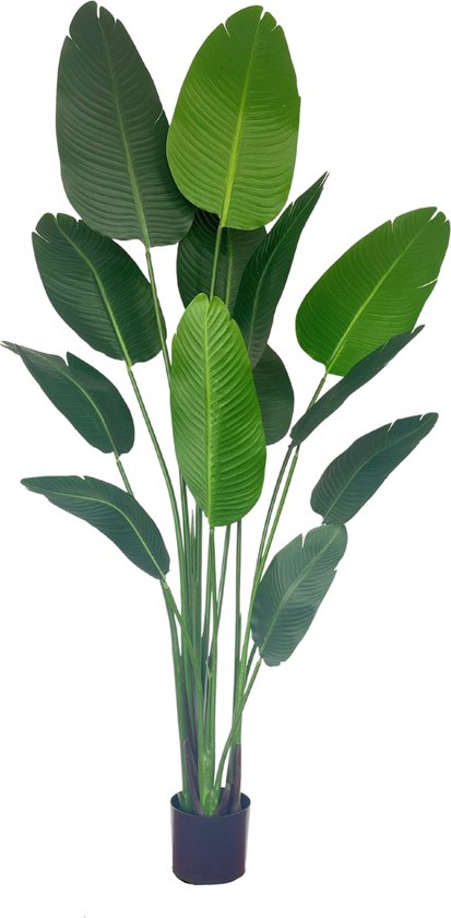 Strelitzia Kunstplant 160 cm | Strelitzia Nicolai Kunstplant | Kunstplanten voor Binnen | Grote Kunstplant | Kunst Strelitzia | Neppe Strelitzia