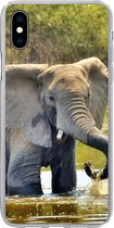 Geschikt voor iPhone Xs hoesje - Olifant - Water - Dieren - Natuur - Siliconen Telefoonhoesje