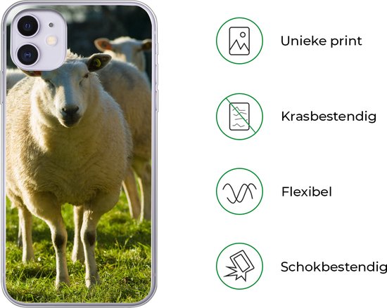 Telefoonhoesje Geschikt voor iPhone 11 hoesje - Schapen - Dieren - Wol - Siliconen Telefoonhoesje Telefoonhoesje