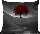 Sierkussen Buiten - Zwart-wit foto met een rode boom - 60x60 cm - Weerbestendig