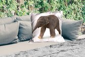 Sierkussen Buiten - Kleine olifant tegen witte achtergrond - 60x60 cm - Weerbestendig
