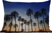 Buitenkussens - Palmboom - Natuur - Strand - Zon - Nacht - 60x40 cm - Weerbestendig