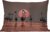 Buitenkussens - Tuin - Vogel - Flamingo - Zonsondergang - Roze - 50x30 cm